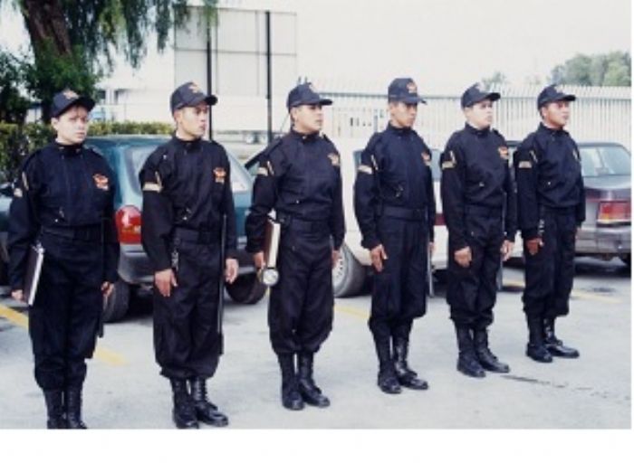 GUARDIAS DE SEGURIDAD INTRAMURO